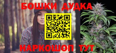 стафф Новозыбков