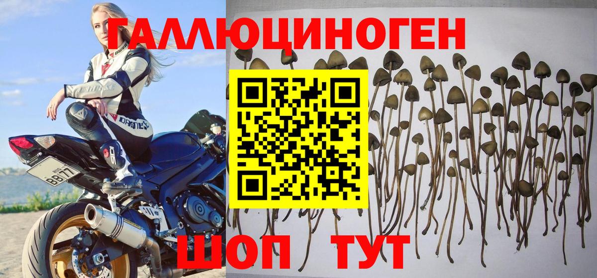 Галлюциногенные грибы Magic Shrooms  Псилоцибиновые грибы мицелий  Вход с VPN  Строитель 