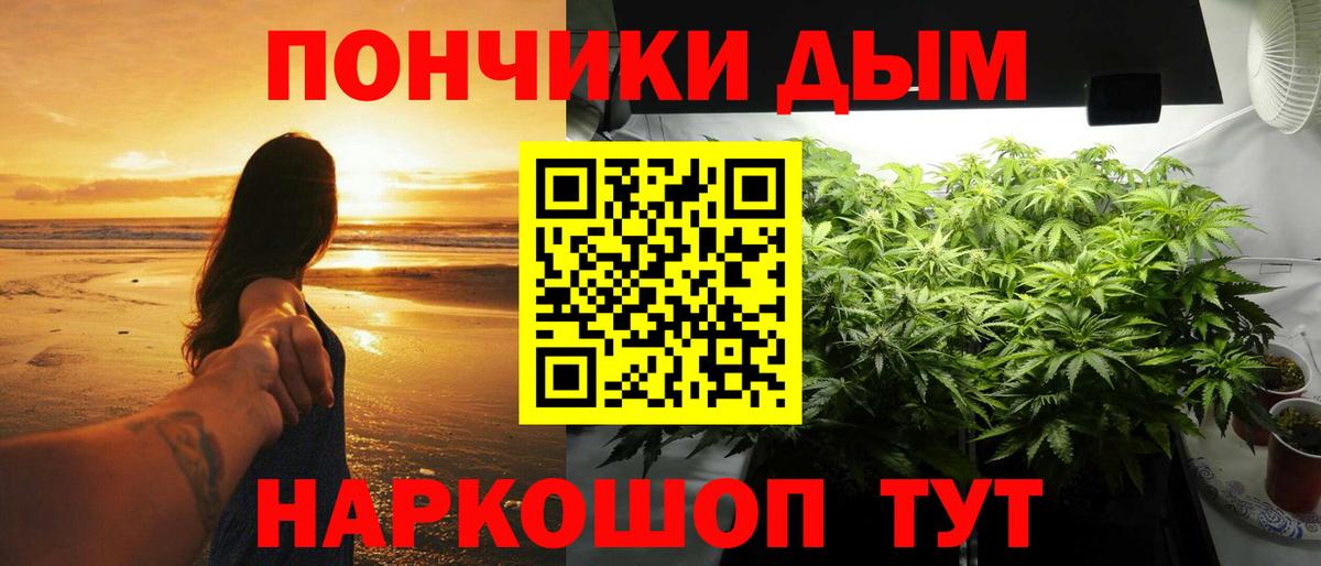 Канабис White Widow  Вход с VPN  Каннабис марихуана  Строитель  Конопля сатива 